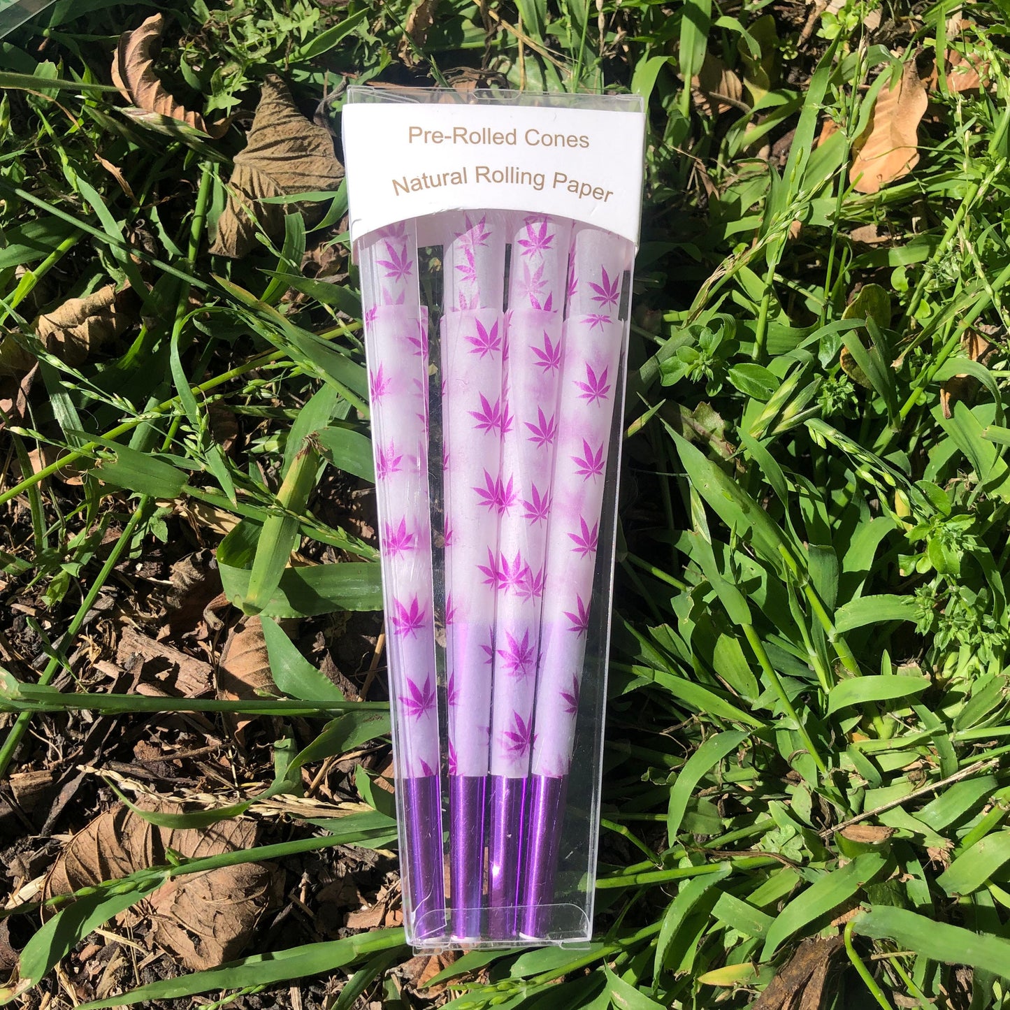 Purple Leaf Cones