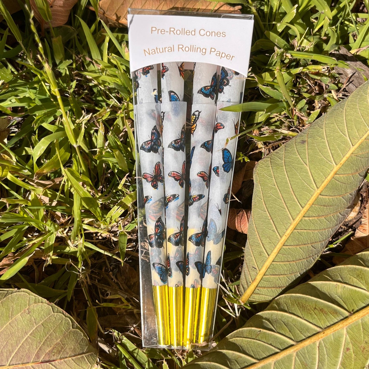 Butterfly Cones