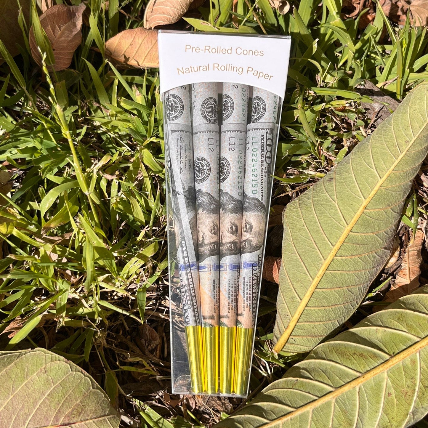 Hundred Dollar Bill Cones